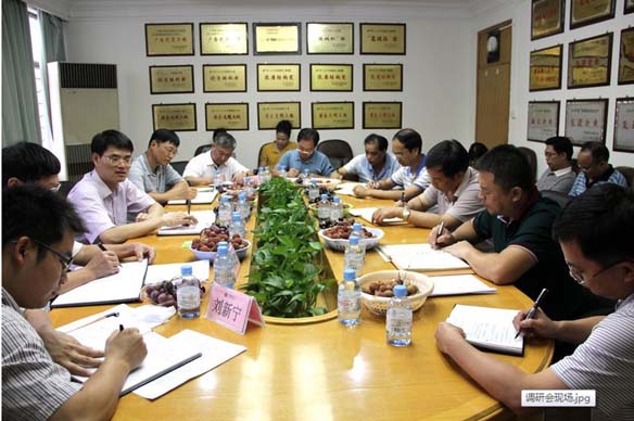 2121非凡·(中国集团)体育官方网站