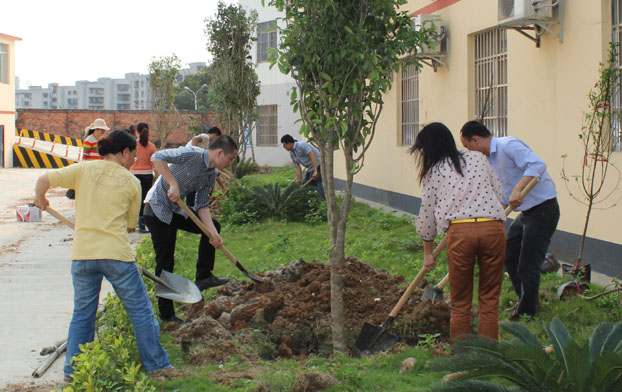 2121非凡·(中国集团)体育官方网站