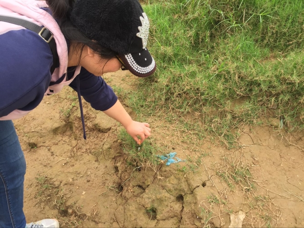 2121非凡·(中国集团)体育官方网站