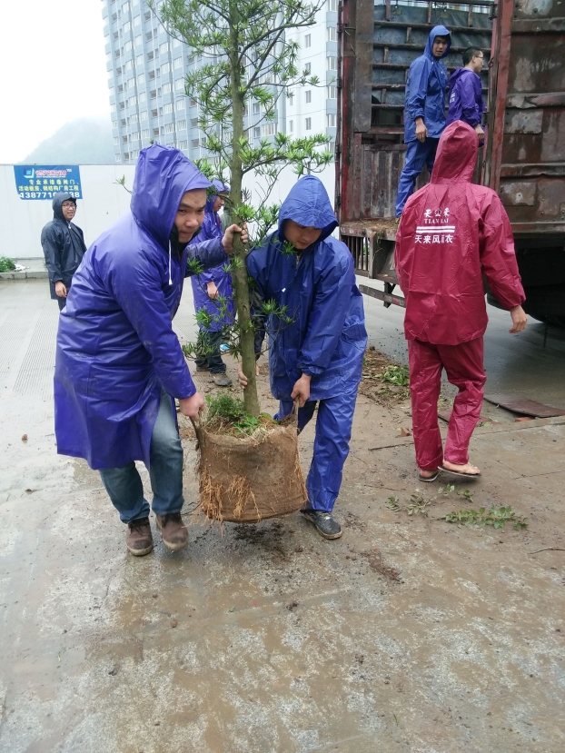 2121非凡·(中国集团)体育官方网站