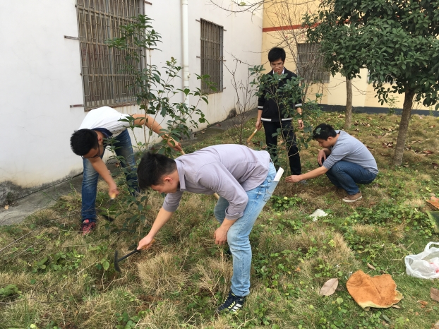 2121非凡·(中国集团)体育官方网站