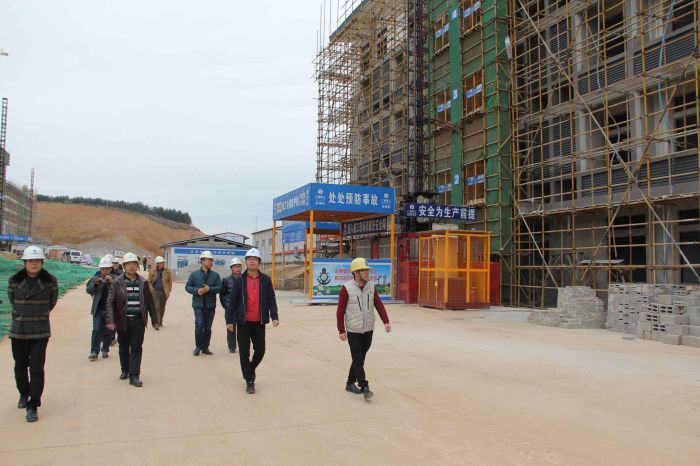 001陈祖训对在建项目复工前事情举行巡查.jpg