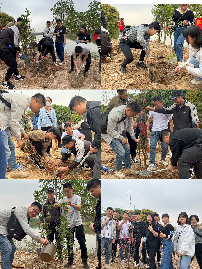 植树现场。。；；；；；；畦磋 摄（修图）.jpg